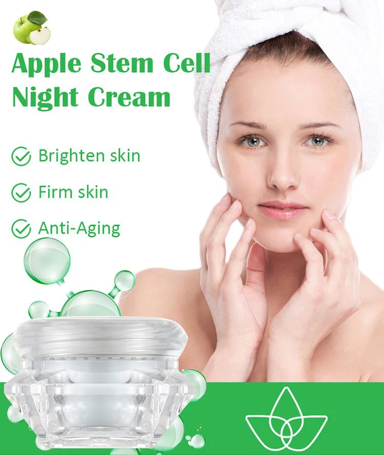 anti aging overnight cream