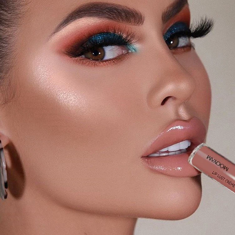 Nude Colour Lip Gloss